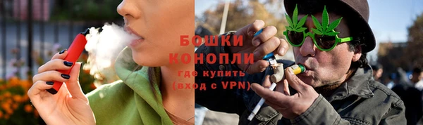ГАЛЛЮЦИНОГЕННЫЕ ГРИБЫ Балабаново