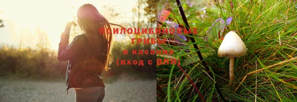 мяу мяу мука Баксан