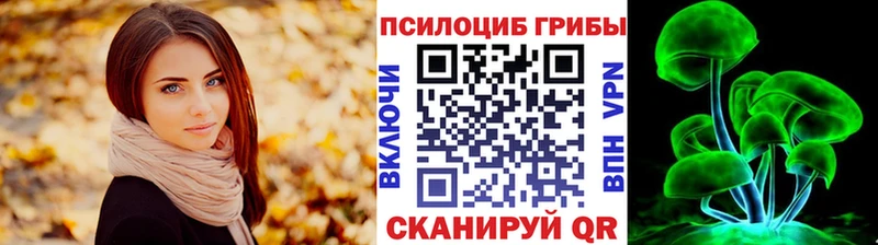 Галлюциногенные грибы Magic Shrooms  закладки  блэк спрут ССЫЛКА  Отрадное 